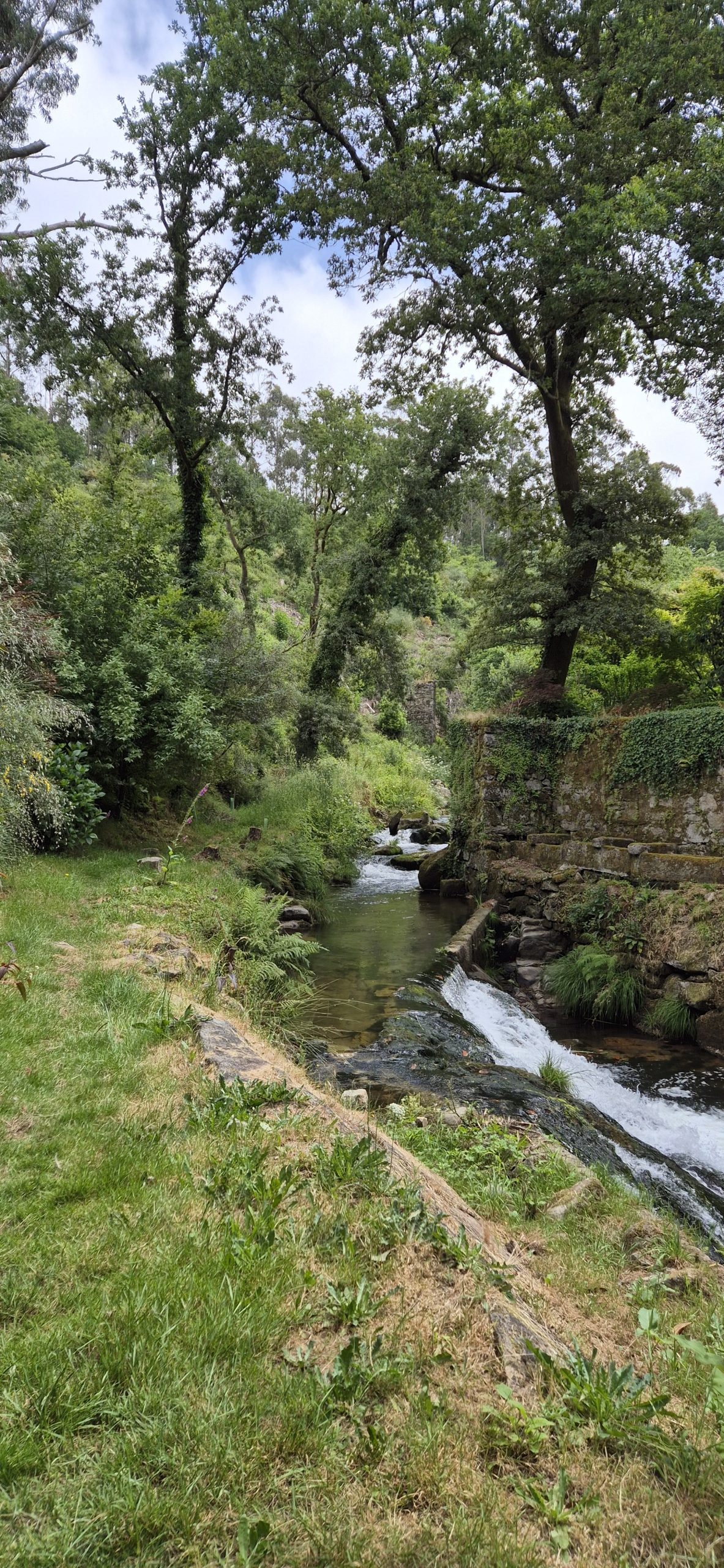 Verde y naturaleza en Galicia - Pazo do Faramello